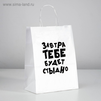 ПАКЕТ ПОДАРОЧНЫЙ ЗАВТРА ТЕБЕ БУДЕТ СТЫДНО 24х14х30 см, (4836674)